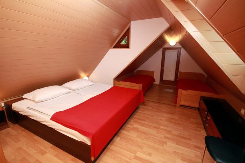 Apartma Pri Bizjaku Bohinj Buitenkant foto